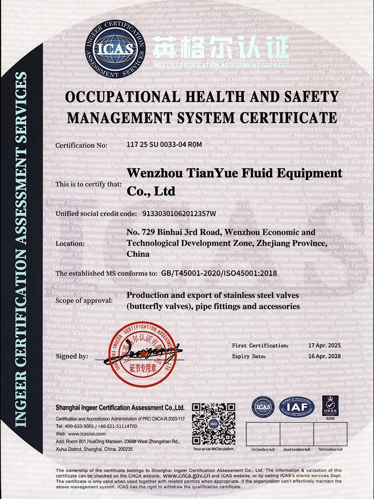 VTY ISO 45001 Certificate