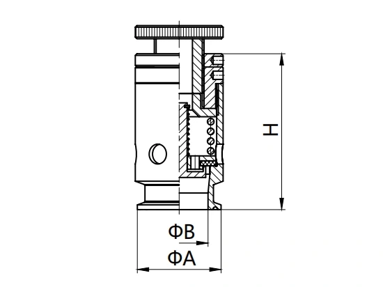Regulating Pressure Vacuum Valve