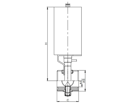 SMS Sanitary Butterfly Valve