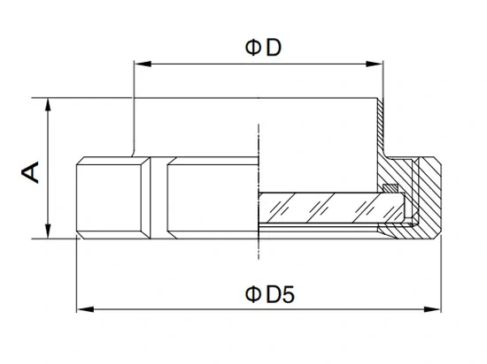 Union Type Sight Glass