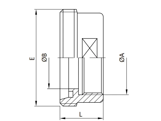 Sanitary Hose Adapter