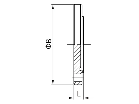 DIN 11864 and DIN 11853 Aseptic Flange Connection