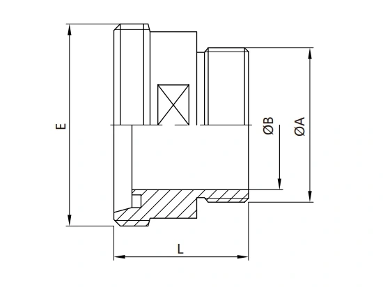 Sanitary Hose Adapter