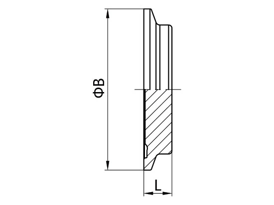 DIN 11864 and DIN 11853 Aseptic Clamp Connection