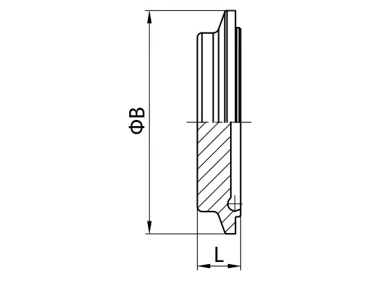 DIN 11864 and DIN 11853 Aseptic Clamp Connection