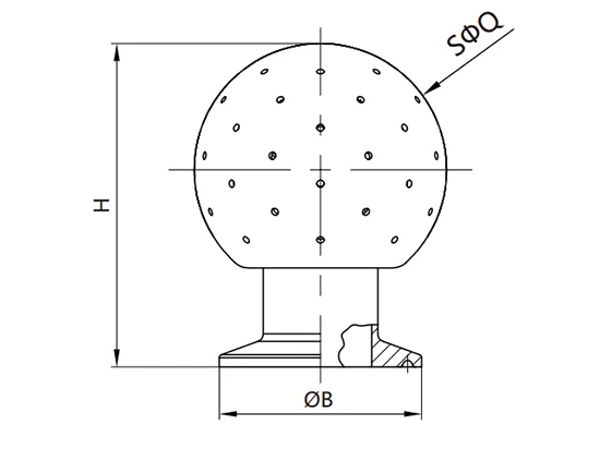 Sanitary Fixed Spray Ball