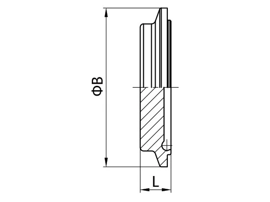 DIN 11864 and DIN 11853 Aseptic Clamp Connection